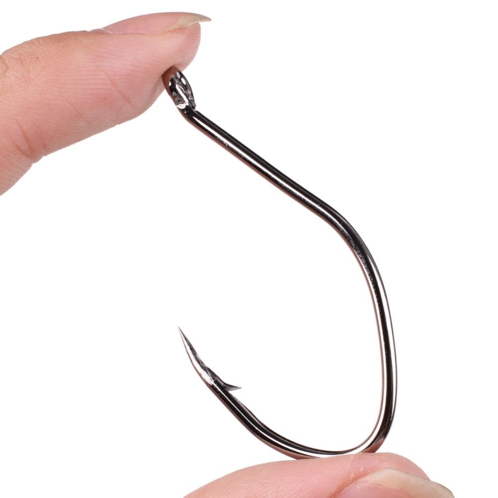 10pcs/Box Barbed Catfish Fishi - Fishing Hook Circle 评论和价格